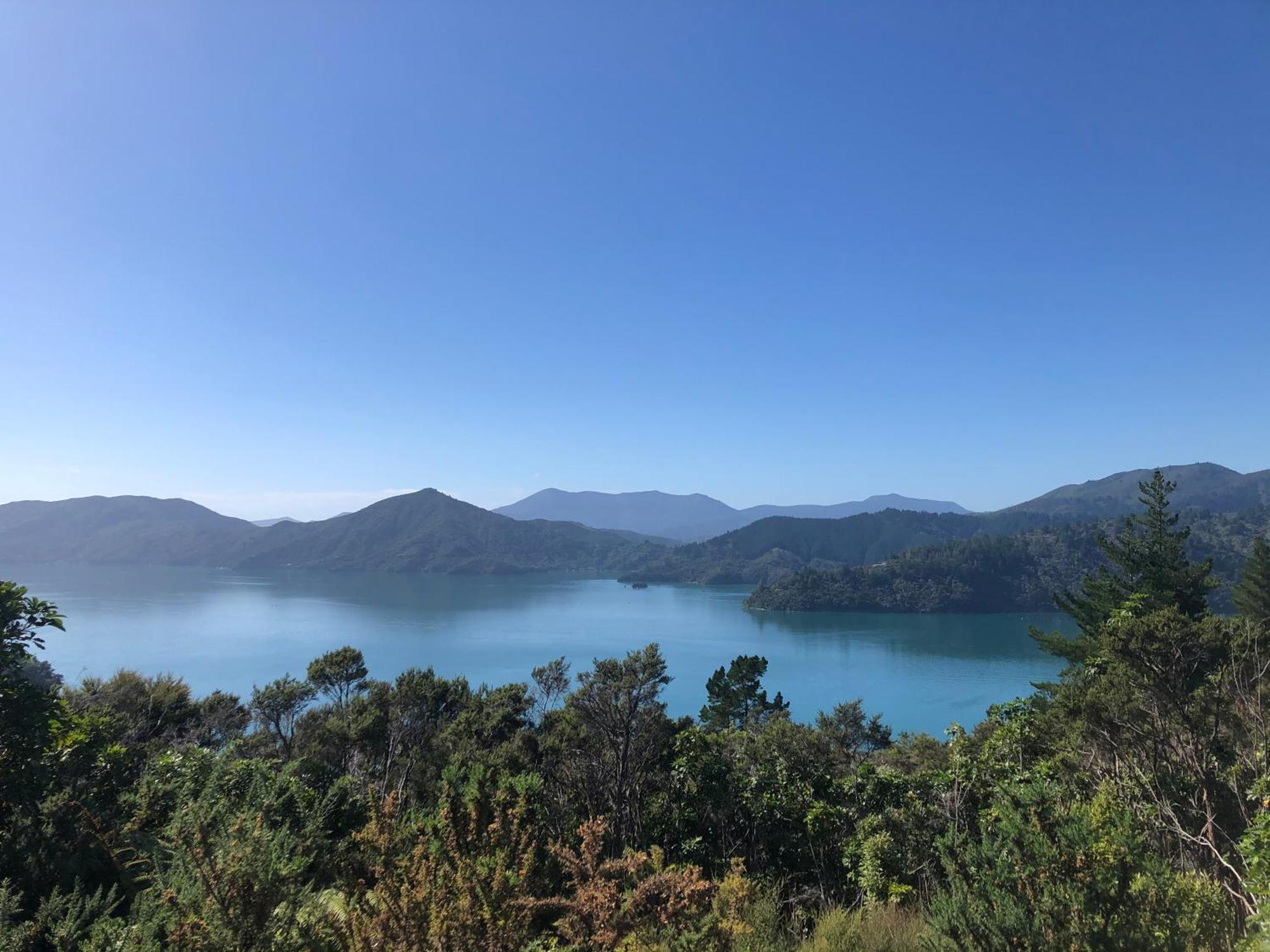 Raetihi Lodge Kenepuru Sounds ภายนอก รูปภาพ